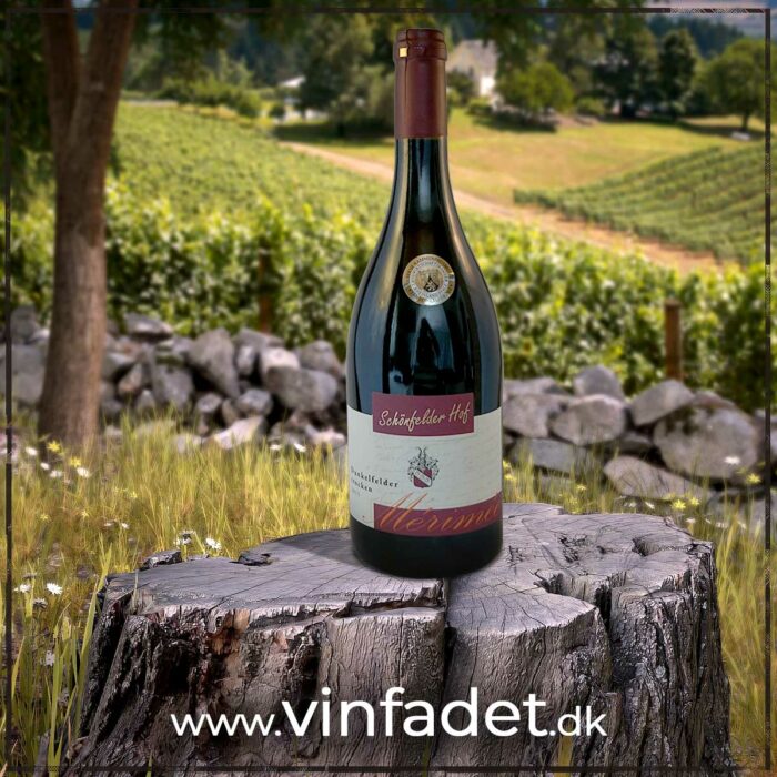 Schönfelder Hof - Fass500 Dunkelfelder 2019, tør