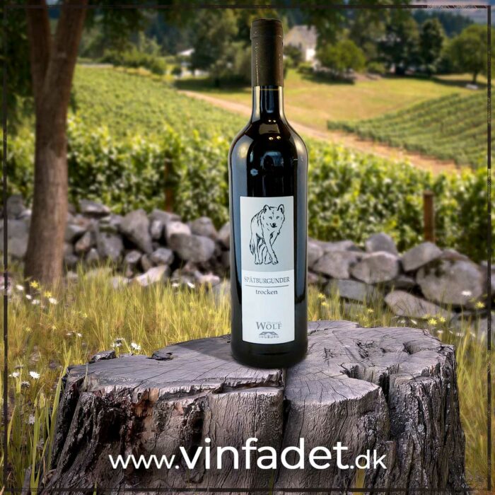 Weingut Wolf - Spätburgunder 2022, tør