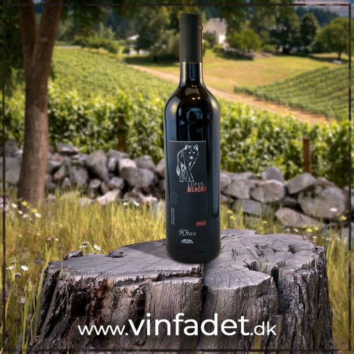 Weingut Wolf - Lupus Black 2022, tør