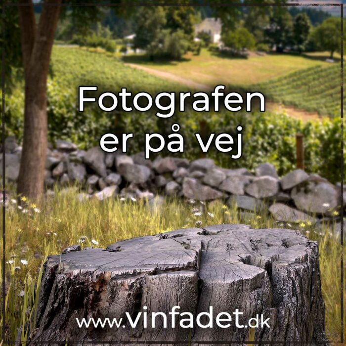Weingut Wolf - Hvid druesaft (alkoholfri)