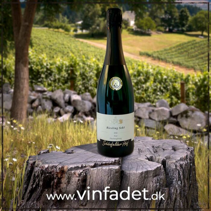 Schönfelder Hof - Riesling Sekt bA brut, 2020
