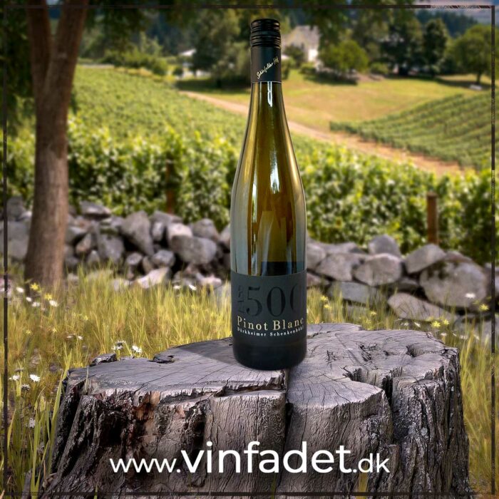 Schönfelder Hof - Fass 500 Pinot Blanc, 2021, tør