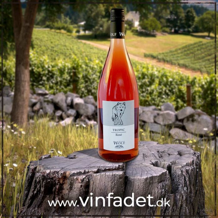 Weingut Wolf - Tropic Rosé, sød