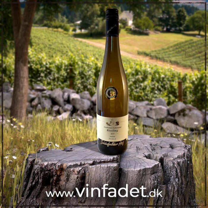 Schönfelder Hof - Dürkheimer Fuchsmantel Riesling, tør, 2019
