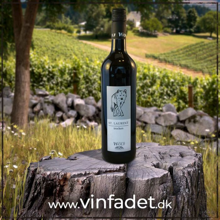 Weingut Wolf - St. Laurent, 2023, tør