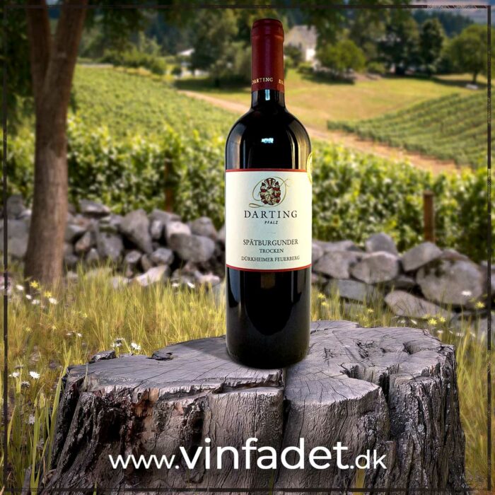 Weingut Darting - Dürkheimer Feuerberg Spätburgunder 2021, tør