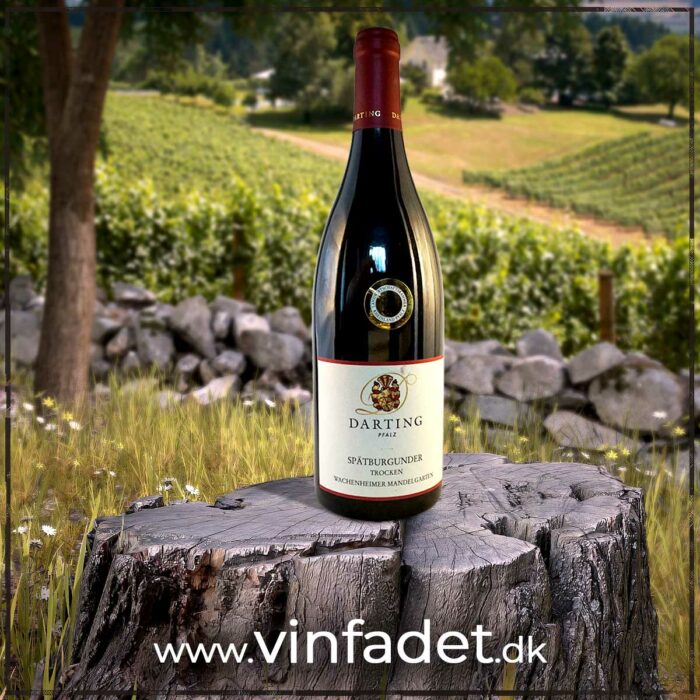 Weingut Darting - Spätburgunder Wachenheimer Mandelgarten, 2022, tør