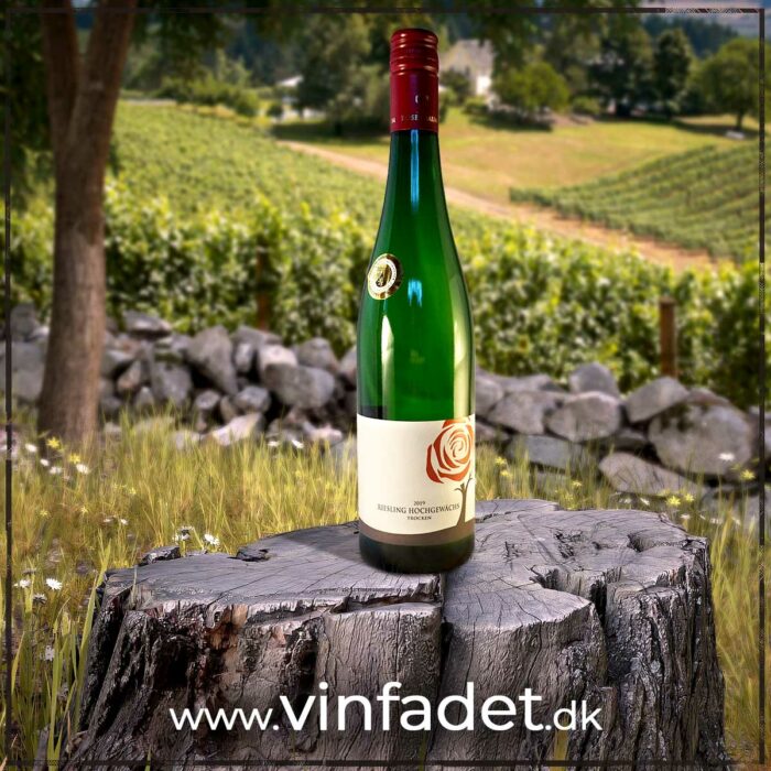Weingut Rosenbaum - Riesling Hochgewächs, Trocken, 2023 (tør)