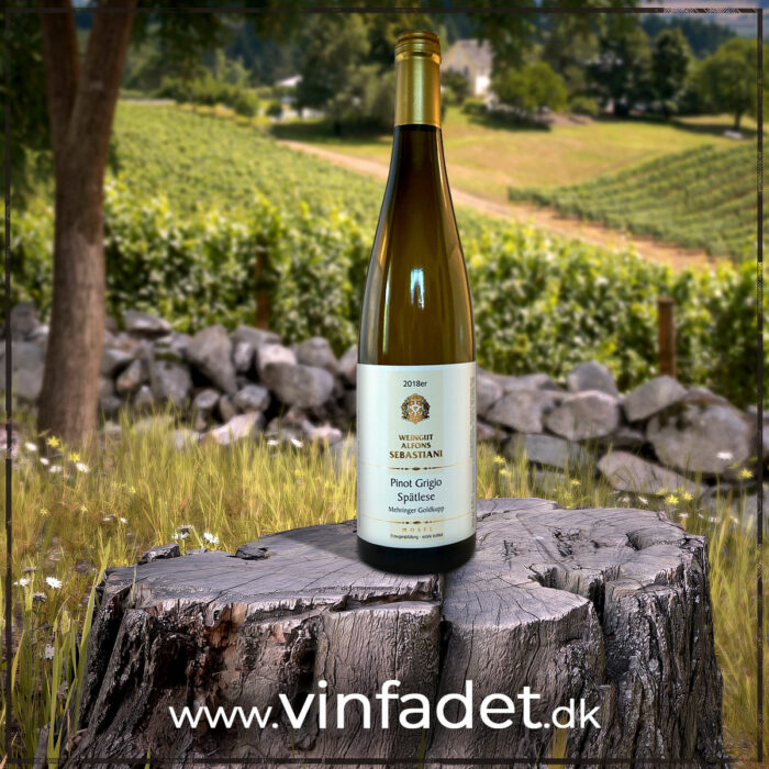 Weingut Alfons Sebastiani - Mosel - Pinot Grigio Spätlese Mehringer Goldkupp, sød, 2018