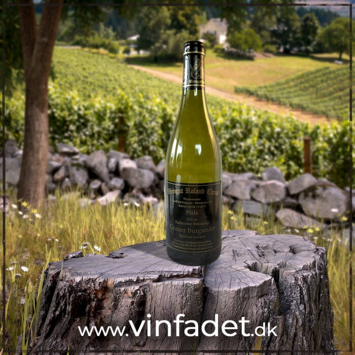 Weingut Christ - Kallstadter Steinacker Grauer Burgunder Spätlese, 2021, tør