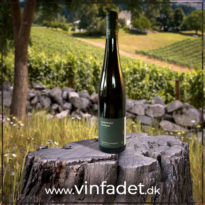 Lauermann & Weyer - Riesling Bockenheimer Goldgrube, 2013, tør