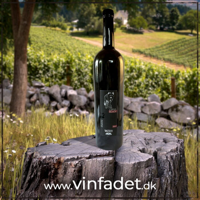 Weingut Wolf - Lupus Black MAGNUM, tør
