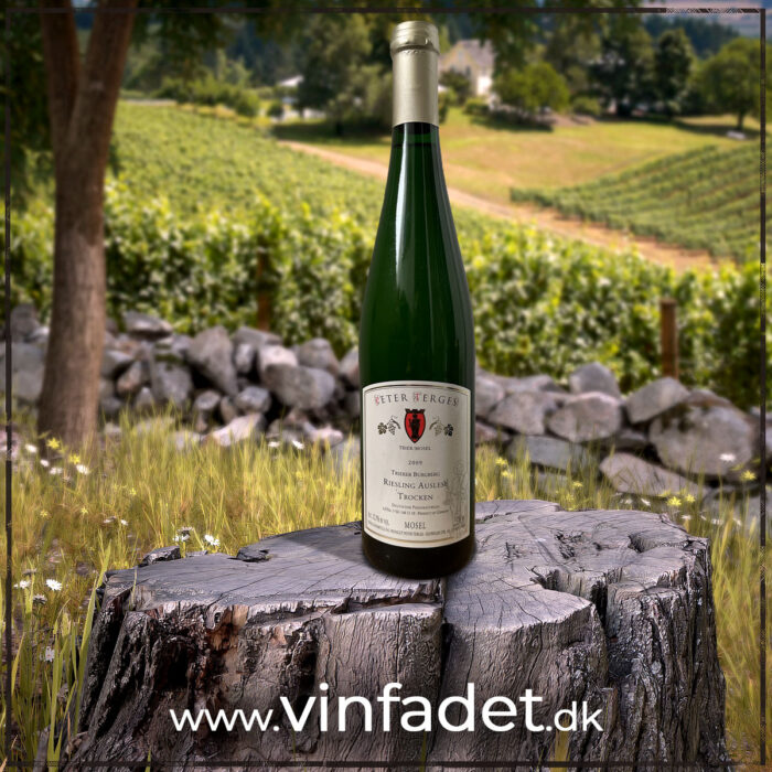 Weingut Peter Terges - Riesling Auslese -Trierer Burgberg 2009, sød